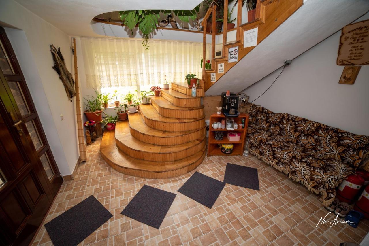 Casa Binu 호텔 Arieşeni 외부 사진